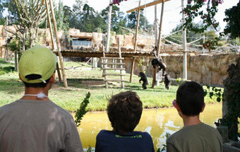 Jardim Zoológico lança programa educativo para escolas