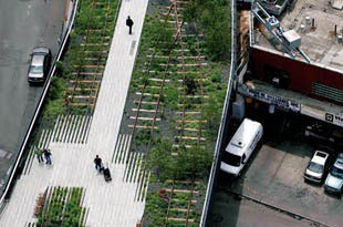Jardins suspensos de Nova Iorque