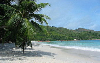 Lua-de-mel terminou em tragédia com ataque de tubarão nas Seychelles