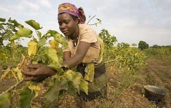 Maior igualdade entre géneros é sinónimo de menos pobreza