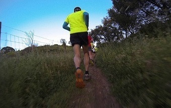 Maratona ecológica de Lisboa vai apoiar nove instituições de solidariedade