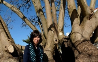 Marta Pinto: a portuguesa que já plantou 19 060 árvores