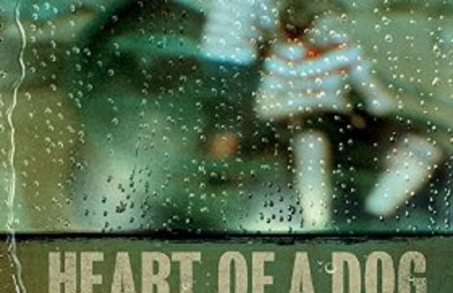 Meditar em 75 minutos