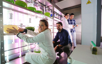 Microbiólogo: Vai um aperitivo de alga?