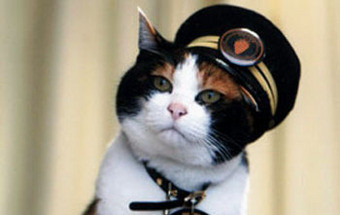 Morreu "Tama", a gata que era chefe de uma estação de comboios no Japão