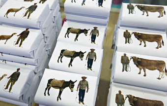 Nacional e com design