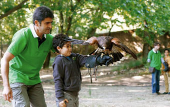 Nas asas da Natureza