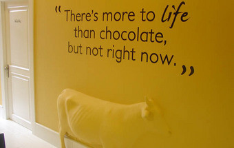 No berço do chocolate