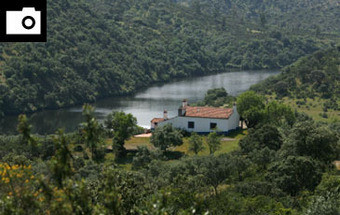 No Tejo Internacional