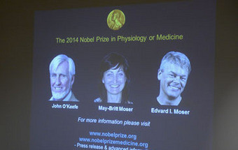 Nobel da Medicina distingue descoberta sobre 'GPS interno'