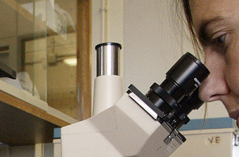 Nova "superbactéria" resiste a todos os antibióticos
