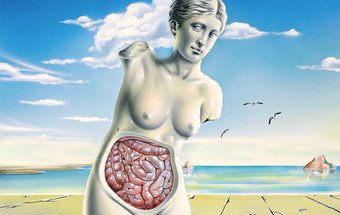 O mundo escondido dos nossos intestinos