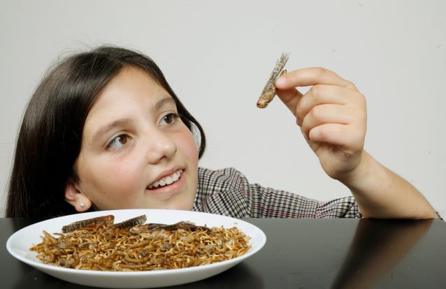 O que vamos comer no futuro?
