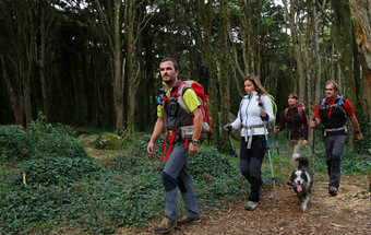 Organizador de caminhadas na natureza: Exploradores ecológicos