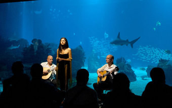 Os peixes e o fado