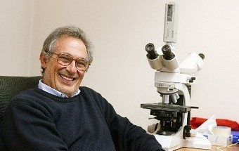 Palavra de Sénior de Manuel Sobrinho Simões