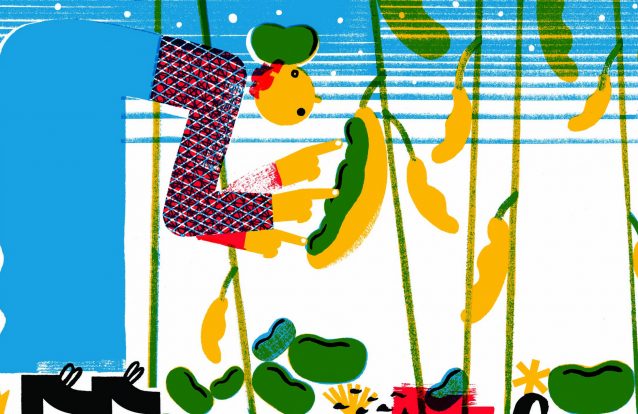 Para leitores de ‘palmo e meio’