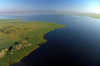 Parque Nacional da Gorongosa precisa de ajuda