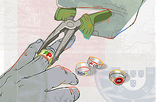 Portugal está à venda!