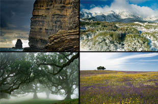 Portugal, mosaico de biodiversidade 18
