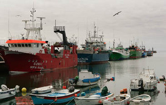 Portugal satisfeito com quotas de pescas definidas para 2011