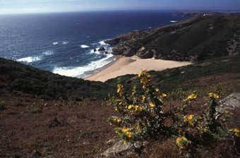 Praia do Zavial e Praia da Ingrina