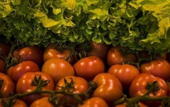 Produtores doam excedentes contra desperdício alimentar