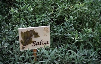 Projetos sociais inovadores recebem 30 mil euros