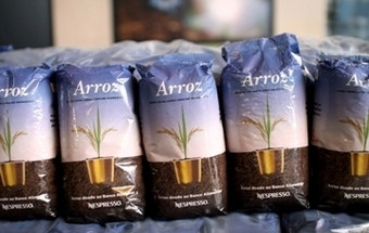 Reciclagem de cápsulas de café garante 67 toneladas de arroz