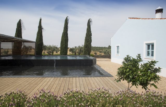 Requinte na planície da Malhadinha Nova