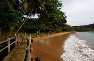 Salvar o paraíso... e mudar o mundo 21