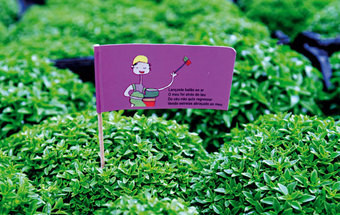 São João, dá cá um balão 8