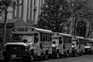 School Buses