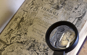 Shakespeare escreveu 'pedrado'?