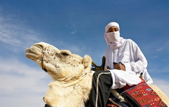 (Sobre) viver no deserto