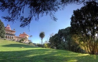 Todos juntos para limpar a Serra de Sintra