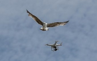 Um milhão de dólares premeia drones solidários