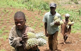 UNICEF pede proteção social para combater a desnutrição