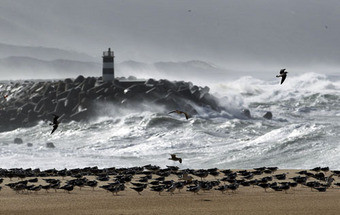 Vento forte e mar agitado põem costa em alerta