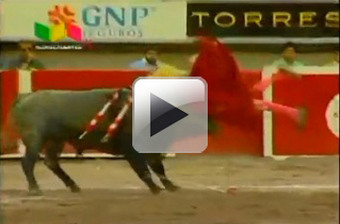 VÍDEO: José Tomás em estado estável mas grave depois de colhido no México
