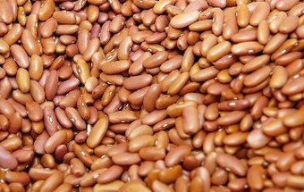 VÍDEO: Sopa da pedra com 2200 quilos de ingredientes alimenta 5 mil pessoas
