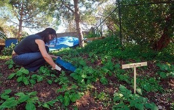 VÍDEO: Trocar serviços para combater a crise