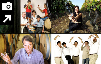Vinho: O nosso tesouro