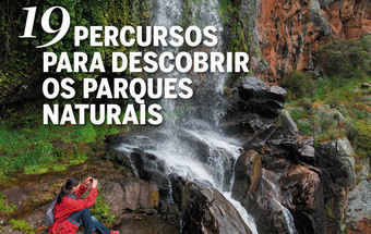 VISÃO Verde está bancas 6