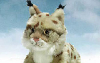 WWF e ICNF apresentam novidades durante Seminário Internacional de Áreas Protegidas