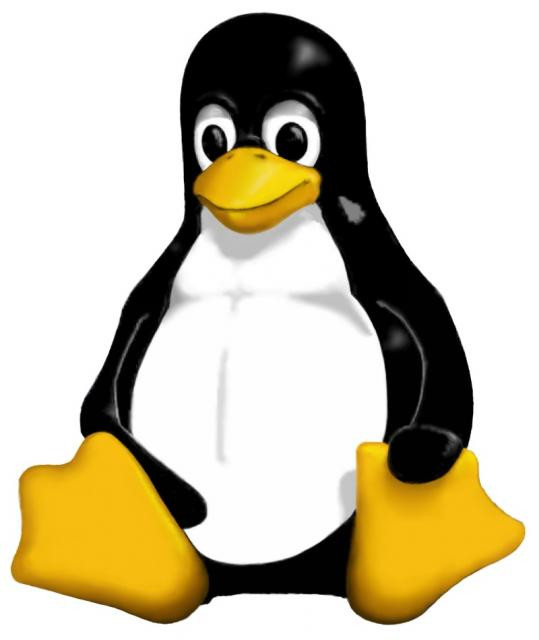 Linux1.jpg