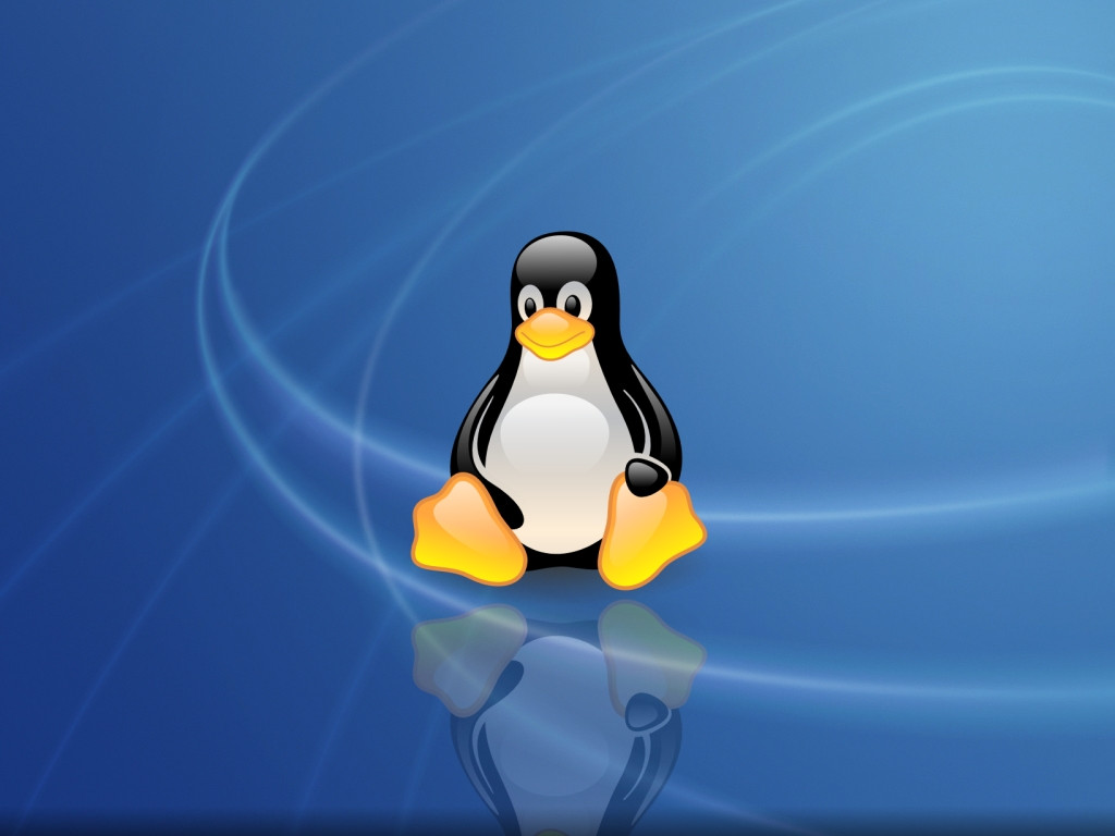 linux1.jpg