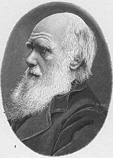 darwin.jpg