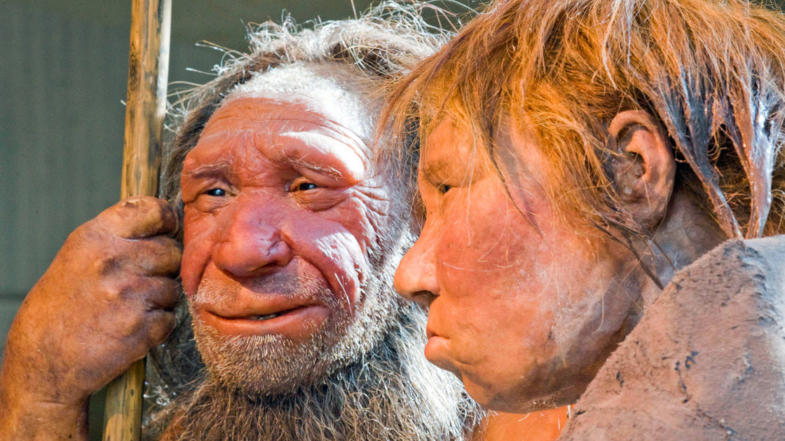 neandertal.jpg