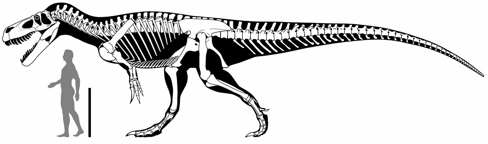 Torvossauros2.jpg